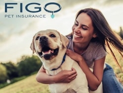 Car Home Insurance Harford County