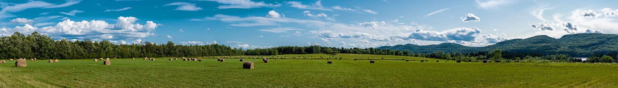 Farm and Ranch Insurance Bel Air Farm and Ranch Insurance Bel Air