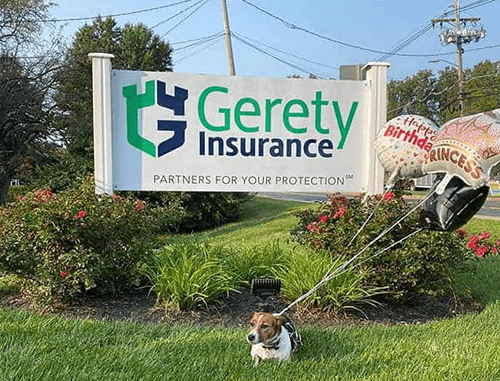 pet insurance 2