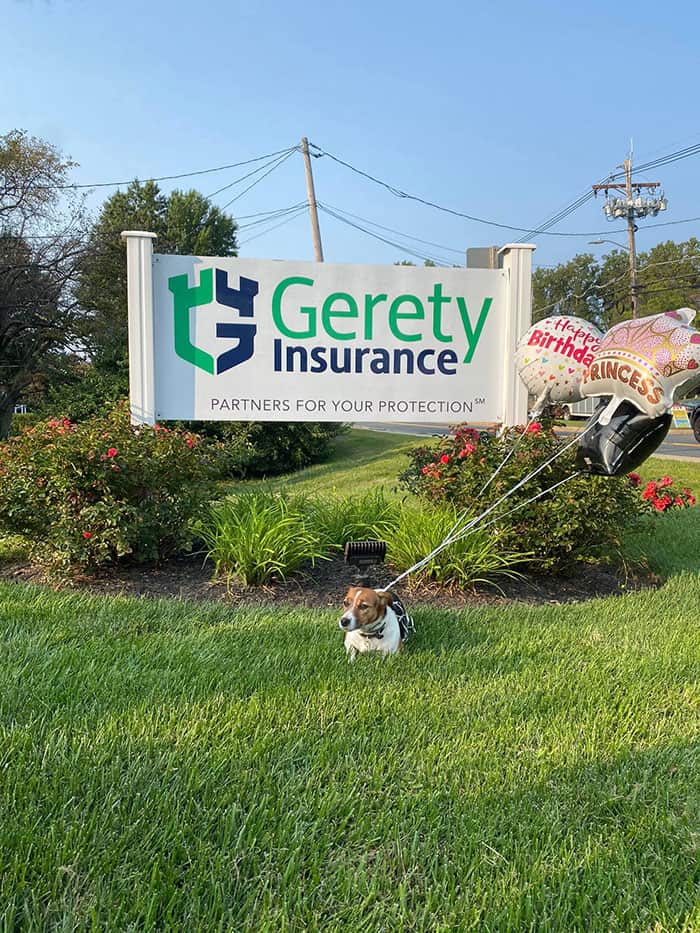 pet insurance 2