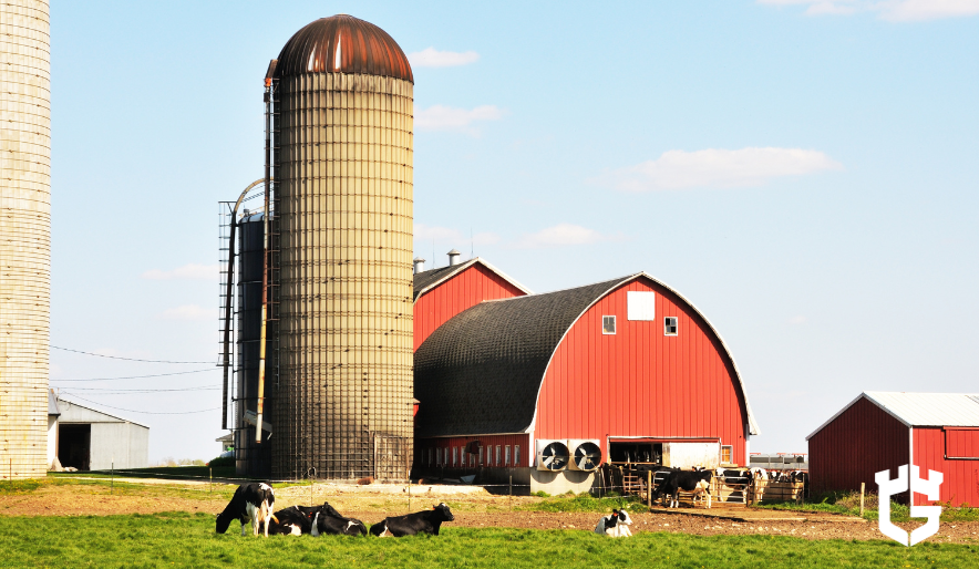 Top Tips for Choosing the Right Insurance for a Farm