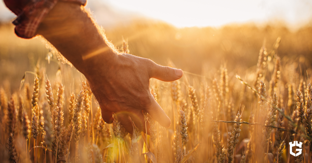 farming insurance 